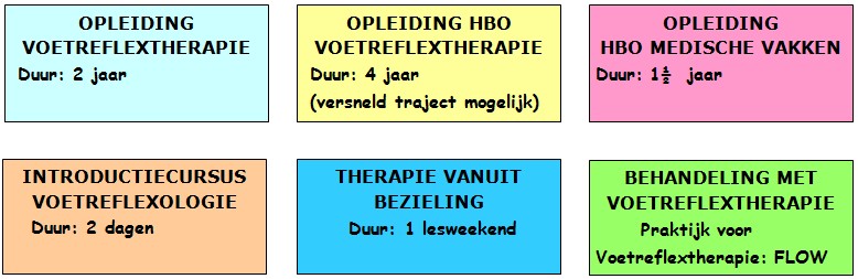 Overzicht Opleidingen