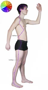 Meridianen Galblaas Zij