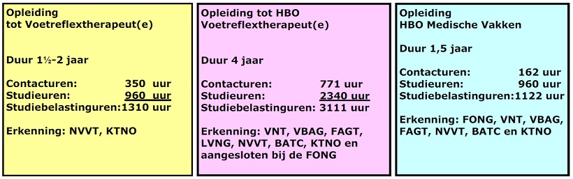 Overzicht Opleidingen