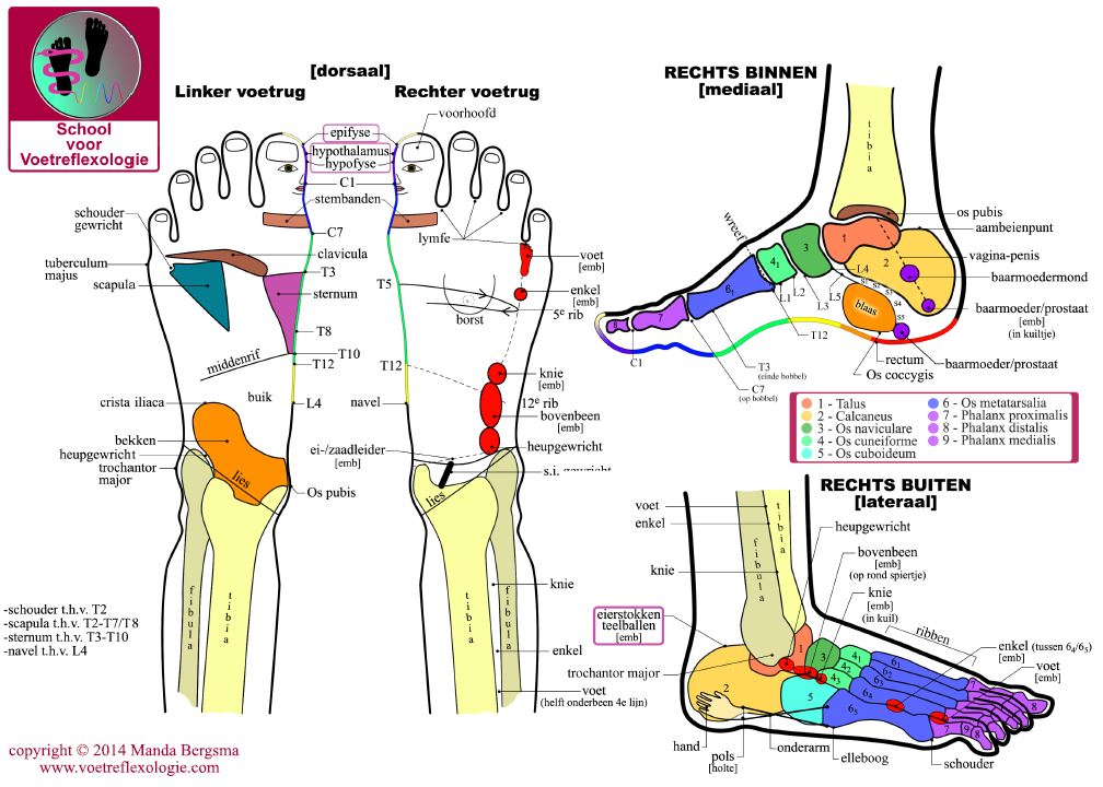 Voetreflexologie, Manda Bergsma